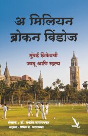 अ मिलियन ब्रोकन विंडोज