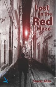 Lost In The Red Maze