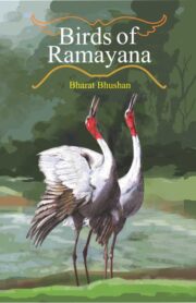 Birds of Ramayana