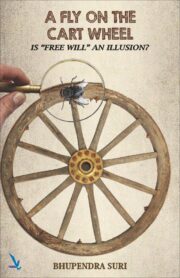 A Fly On The Cart Wheel