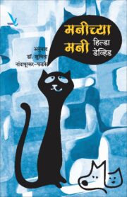 मनीच्या मनी