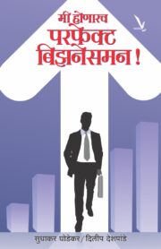 मी होणारच परफेक्ट बिझनसमेन