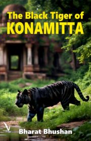 The Black Tiger of KONAMITTA