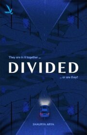 DIVIDED “They are in it together … or are they?”